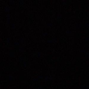 Meet your Posher, Jocelynn